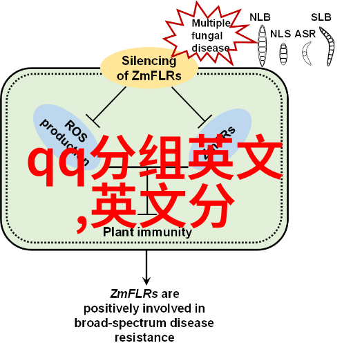 不指望别人心疼的QQ英文分组